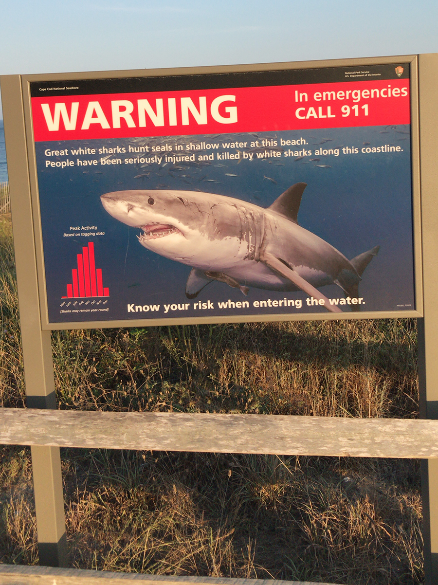 SharkWarning